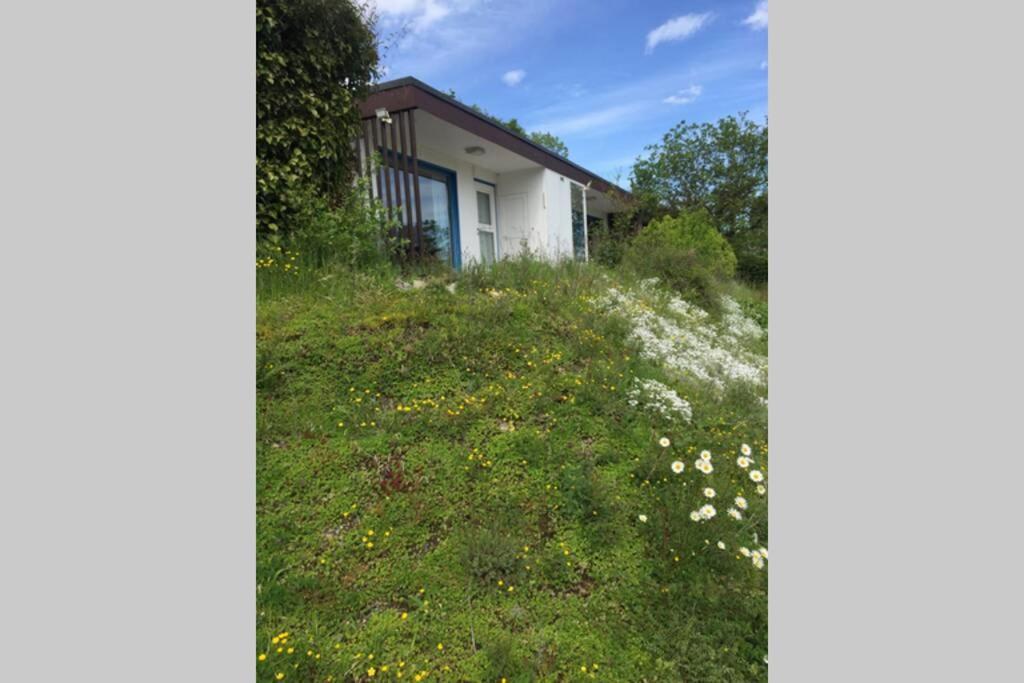 Idyllisch Wohnen Im Weserbergland - Bungalow Mit Phantastischer Aussicht Fuer 4 Personen Polle Exterior foto